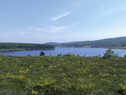 La Salvetat La Salvetat