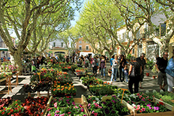 Serignan Marché Serignan Marché